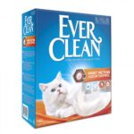 EVERCLEAN FAST ACTING 6L