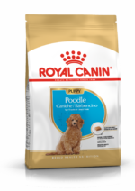 ROYAL CANIN POODLE PUPPY 3KG - Image 2