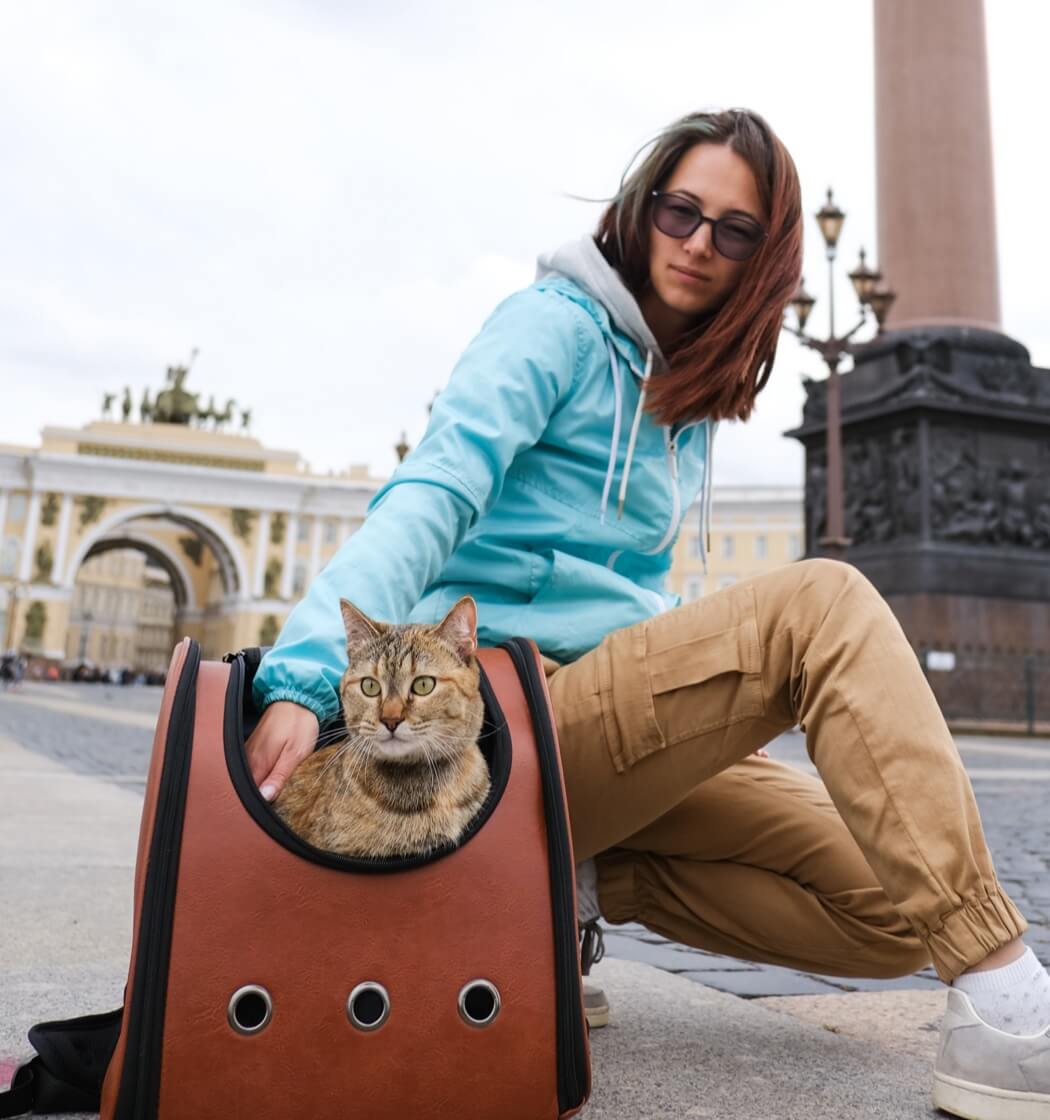 iStock-1357088404 Boarding - Image 1