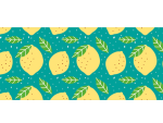 HABBY CAT COLLAR (N.11) 20-30CM/10MM